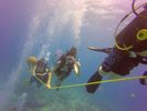 Hawaii Scuba divng 62