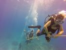 Hawaii Scuba divng 63