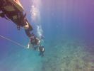 Hawaii Scuba divng 65