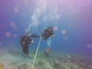 Hawaii Scuba divng 68