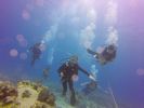 Hawaii Scuba divng 69