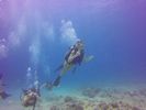 Hawaii Scuba divng 06
