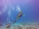 Hawaii Scuba divng 06