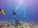 Hawaii Scuba divng 70