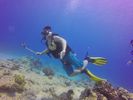 Hawaii Scuba divng 71