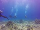 Hawaii Scuba divng 72