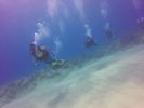 Hawaii Scuba divng 74