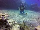 Hawaii Scuba divng 78