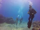 Hawaii Scuba divng 79