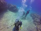 Hawaii Scuba divng 80