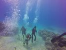 Hawaii Scuba divng 81