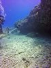 Hawaii Scuba divng 83