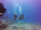 Hawaii Scuba divng 90