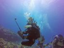 Hawaii Scuba divng 91