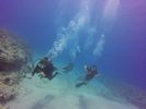 Hawaii Scuba divng 95