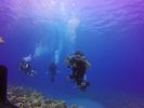 Hawaii Scuba divng 98