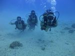 Hawaii Scuba divng 12