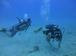 Hawaii Scuba divng 13