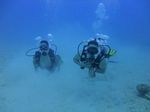 Hawaii Scuba divng 14