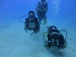 Hawaii Scuba divng 15