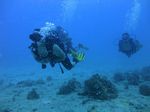 Hawaii Scuba divng 20