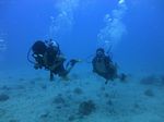 Hawaii Scuba divng 21