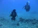 Hawaii Scuba divng 22