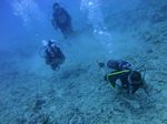 Hawaii Scuba divng 23