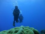 Hawaii Scuba divng 27