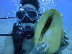 Hawaii Scuba divng 34