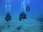 Hawaii Scuba divng 35