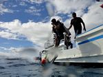 Hawaii Scuba divng 36