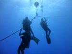 Hawaii Scuba divng 39