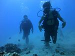 Hawaii Scuba divng 41