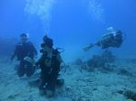 Hawaii Scuba divng 42