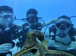 Hawaii Scuba divng 51