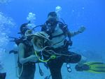 Hawaii Scuba divng 53