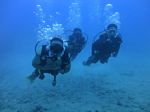 Hawaii Scuba divng 57