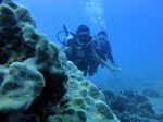 Hawaii Scuba divng 61