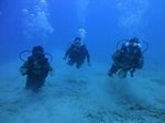 Hawaii Scuba divng 62