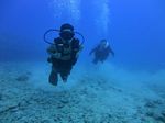 Hawaii Scuba divng 63