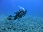 Hawaii Scuba divng 64