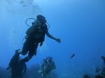 Hawaii Scuba divng 67