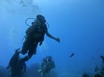 Hawaii Scuba divng 67