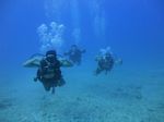 Hawaii Scuba divng 71