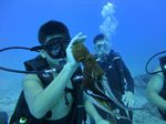 Hawaii Scuba divng 76