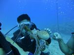 Hawaii Scuba divng 79