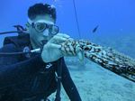 Hawaii Scuba divng 80