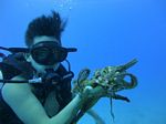 Hawaii Scuba divng 83