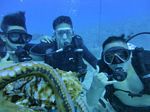 Hawaii Scuba divng 84